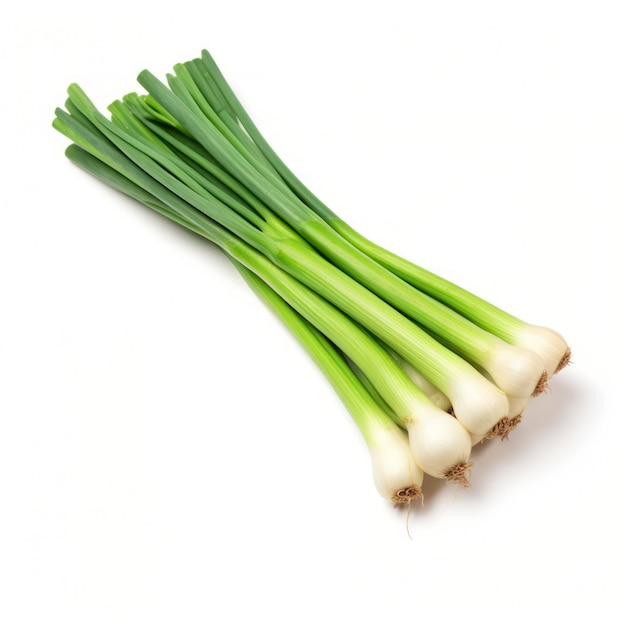 Légumes à l'oignon vert isolés sur fond blanc