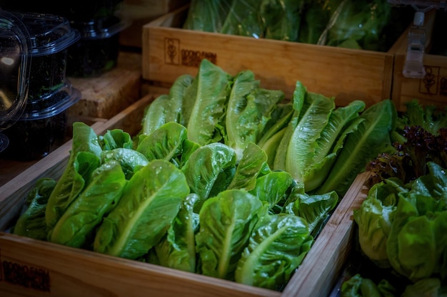 Légumes organiques.