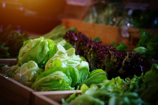 Légumes organiques.