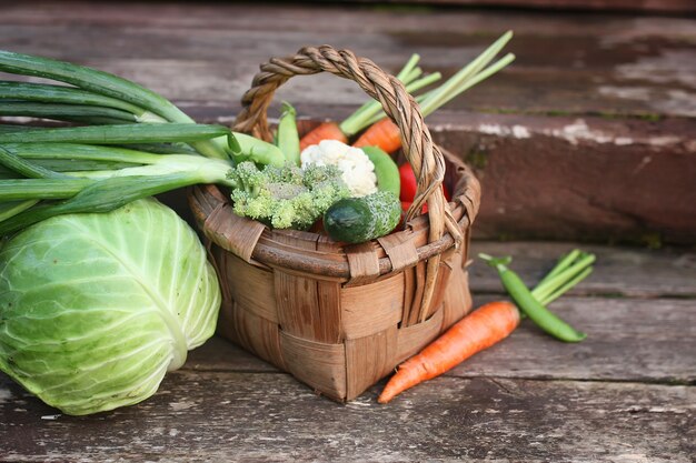 Légumes en panier récolte