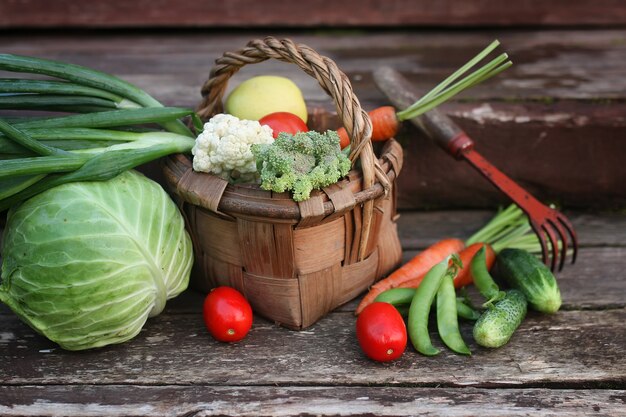 Légumes En Panier Récolte