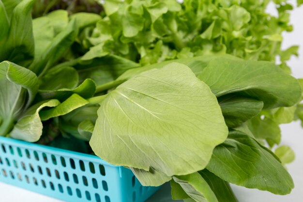 Légumes sur le panier