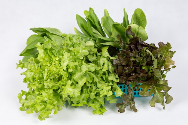 Légumes sur le panier