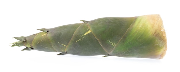 Légumes pousses de bambou isolés sur fond blanc.