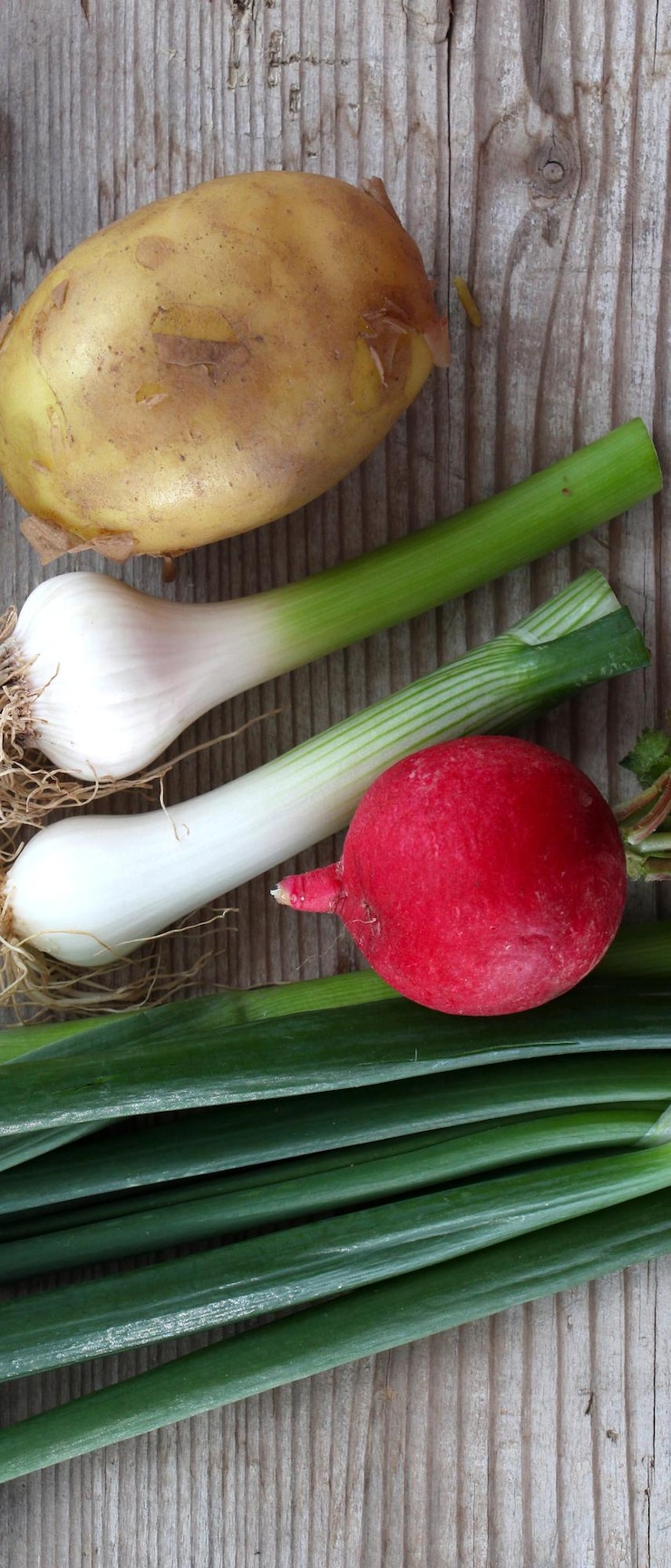 Photo légumes de printemps pommes de terre fraîches garliconion et radis
