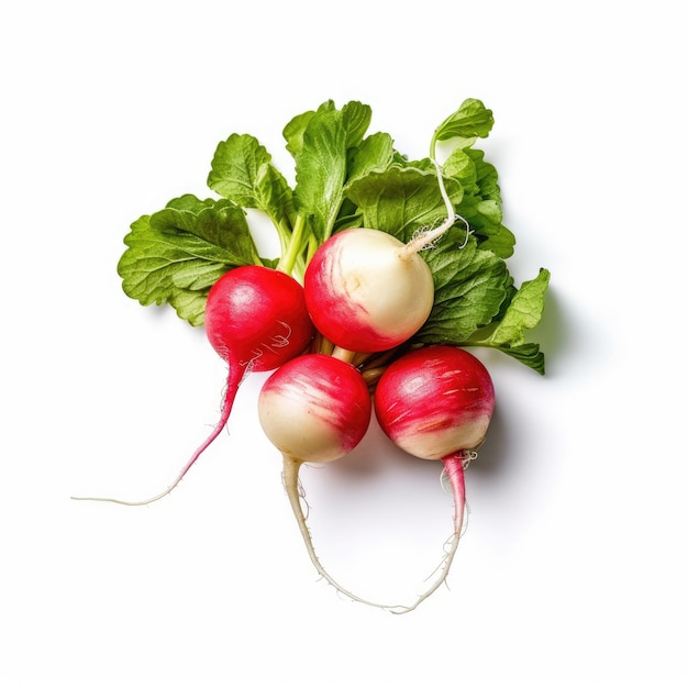 Légumes radis isolé sur fond blanc