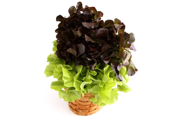 Photo légumes et salades avec un fond blanc