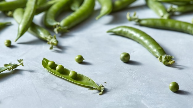 Légumes verts naturels - gousses de pois verts avec de petites graines sphériques sur fond gris avec espace de copie. Concept de nourriture de désintoxication.