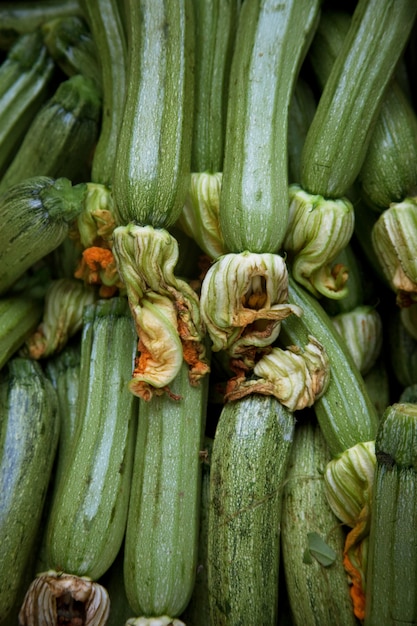 Légumes verts