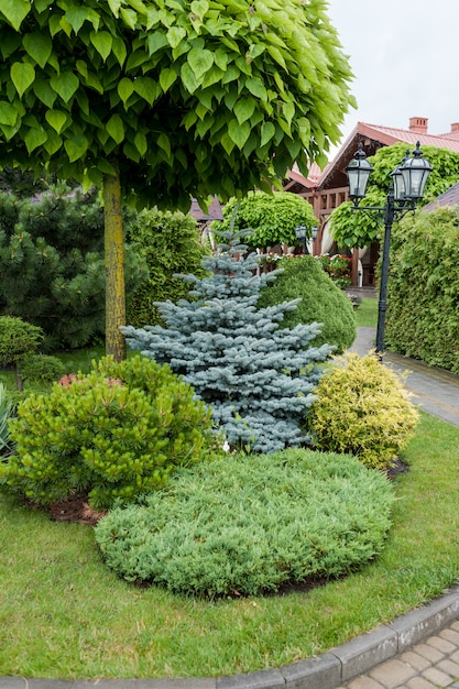 Éléments de conception de paysage. Jardin anglais.