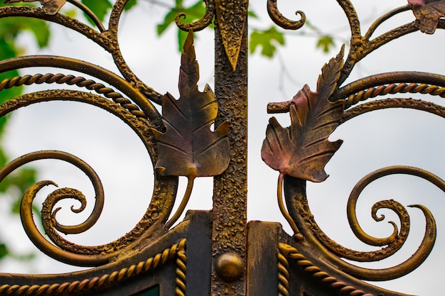 Éléments en fer forgé ornés de décoration de porte en métal.