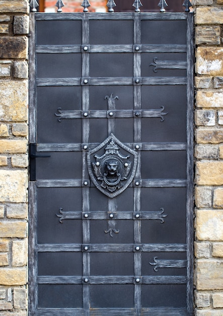 Éléments en fer forgé ornés de décoration de porte en métal.