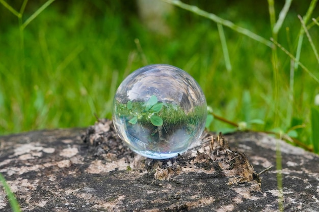 lentille boule de cristal photographie avec fond d'herbe