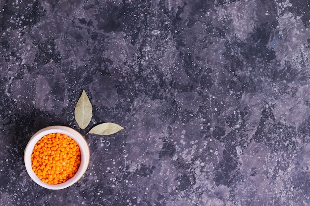 Lentilles crues orange pour une bonne nutrition et santé dans une assiette blanche avec feuille de laurier sur fond gris