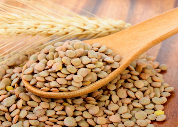 Lentilles en cuillère de bois