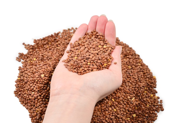 Lentilles sur fond blanc dans les mains de la femme.