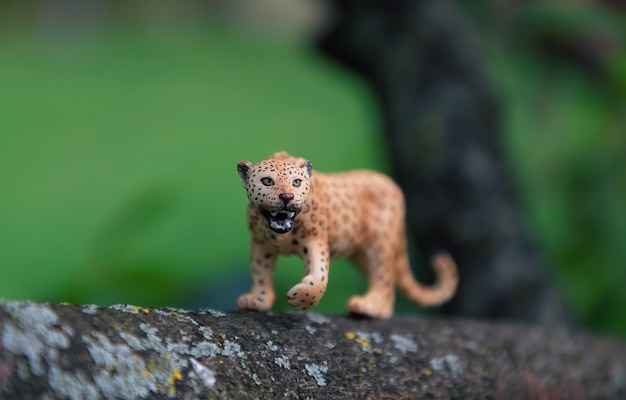 Un léopard jouet dans la nature