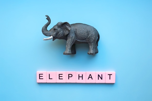 Éléphant jouet sur fond bleu avec le mot éléphant