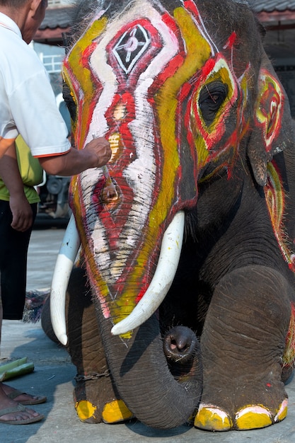 Éléphant peint au festival de la Thaïlande