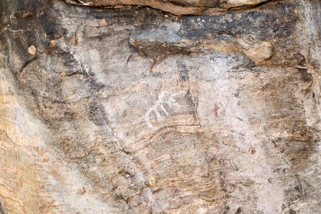 Éléphant de peintures anciennes sur pierre au parc national Op Luang, Chiang Mai, Thaïlande