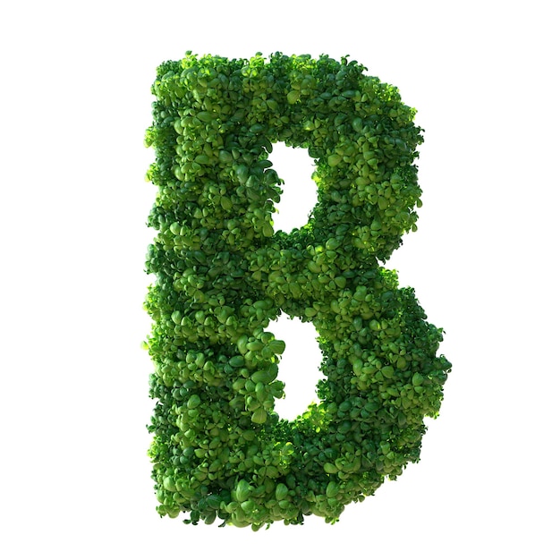 Lettre de l'alphabet 3d B plante verte feuilles herbe mousse basilic menthe isolé sur fond blanc avec Clipping Path 3d illustration