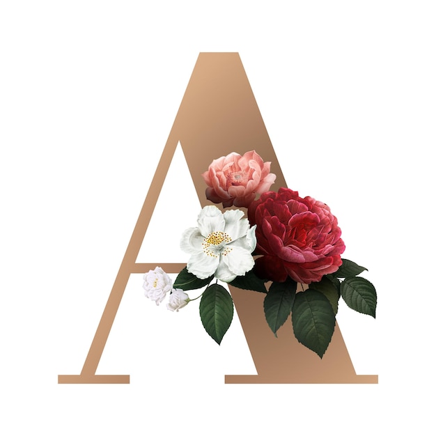 Une lettre d'alphabet floral classique et élégante Une lettre de police png transparente