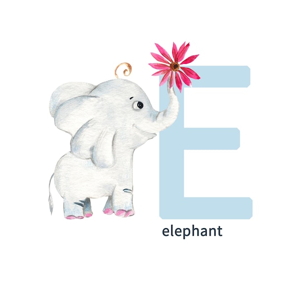 Lettre E éléphant enfants mignons animaux colorés alphabet ABC illustration aquarelle isolé sur fond blanc