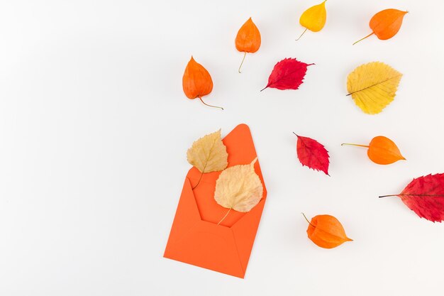 Lettre avec fleurs orange séchées et feuilles d'automne