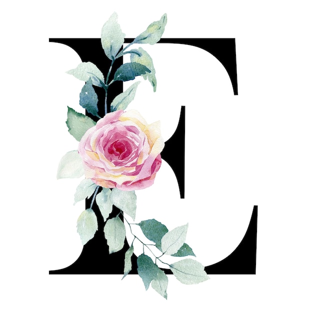Lettre florale E avec roses aquarelles