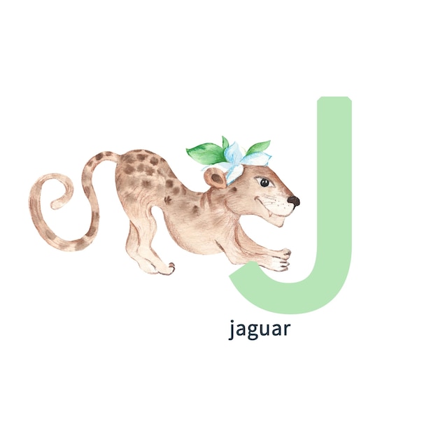 Lettre J jaguar enfants animaux alphabet ABC illustration aquarelle isolé sur fond blanc