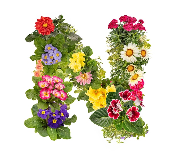 Une lettre N faite de différentes fleurs colorées