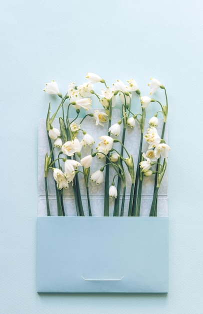 Lettre parfumée de printemps avec des salutations et des grillons de neige