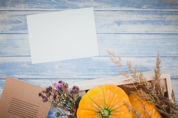 Lettre vide blanche avec citrouilles d'automne