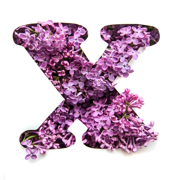 La lettre X de l'alphabet anglais du lilas