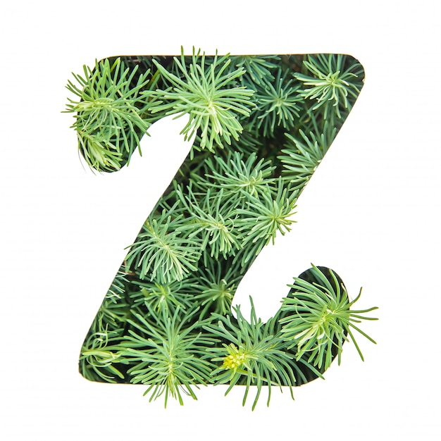 La lettre Z de l'alphabet anglais de l'herbe verte