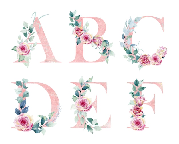 Lettres de l'alphabet de l'alphabet avec des fleurs