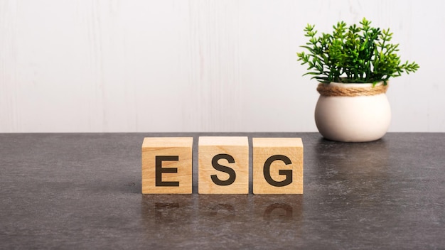 Lettres de l'alphabet de l'esg sur des cubes en bois plante verte sur fond blanc