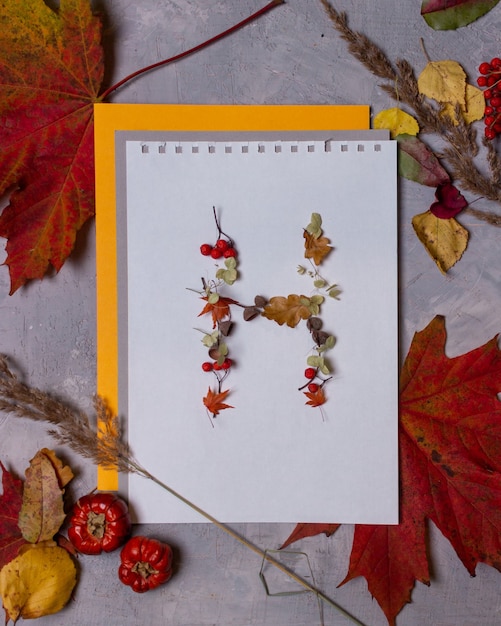 Photo lettres de l'alphabet latin des feuilles d'automne sur fond blanc