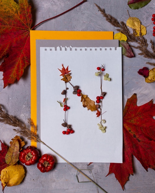 Photo lettres de l'alphabet latin des feuilles d'automne sur fond blanc
