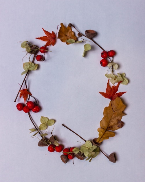 Photo lettres de l'alphabet latin des feuilles d'automne sur fond blanc