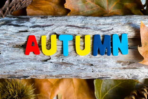 Photo lettres colorées avec le mot automne sur un tronc et des feuilles sèches autour