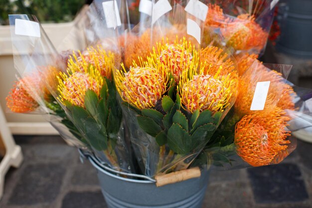 Leukospermum Ayoba Peach sur le comptoir local de vente de fleurs