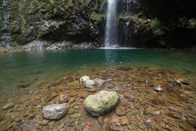 Levada de Caldeirao Verde