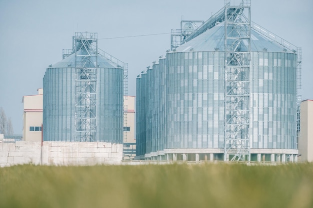 Élévateur à grains élévateur à grains en métal dans la zone agricole stockage agricole pour la récolte de céréales