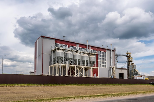 Élévateur de grenier moderne et ligne de nettoyage des semences Silos d'argent sur l'agro-industrie et l'usine de fabrication pour le traitement, le séchage, le nettoyage et le stockage des produits agricoles farine céréales et céréales