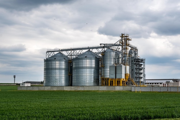 Élévateur de grenier moderne et ligne de nettoyage des semences Silos d'argent sur l'agro-industrie et l'usine de fabrication pour le traitement, le séchage, le nettoyage et le stockage des produits agricoles farine céréales et céréales