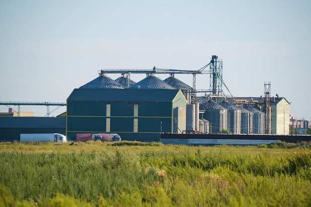 Élévateur industriel avec trémie de stockage de grains