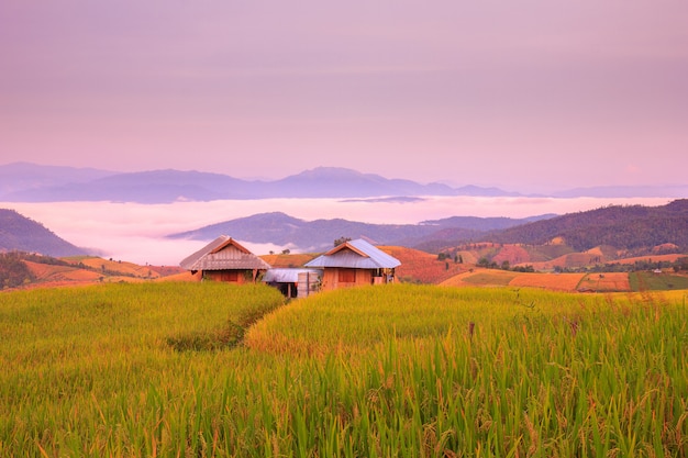 Lever du soleil au champ de riz en terrasses dans le village de Mae-Jam, province de Chiang Mai, Thaïlande