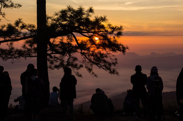 Lever du soleil au parc national de Phukradung, Thaïlande