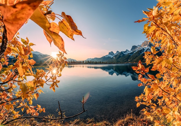 Lever du soleil sur la chaîne de montagnes et les feuilles dorées couvertes de Rundle Forebay Reservoir Banff National Park Canada